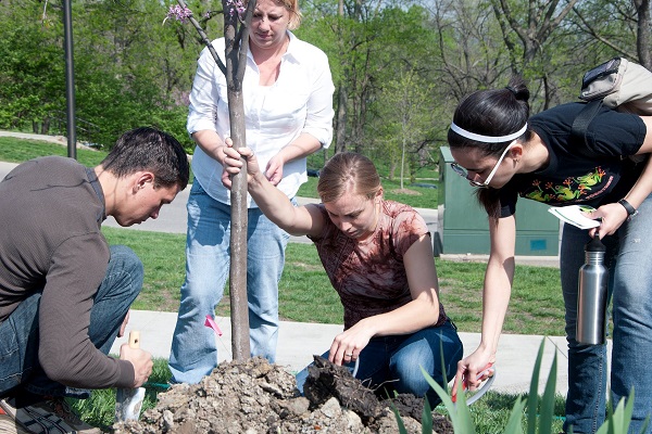 Three women and one man placing dirt back over a newly planted tree.