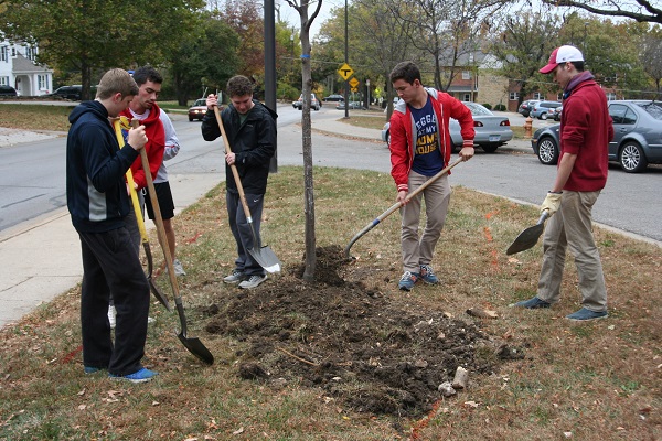 Five male students with shovels placing dirt in the hole where a tree was just planted.