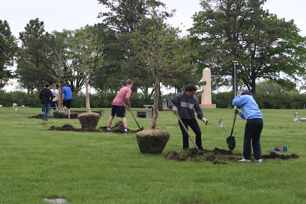 Several groups digging holes for trees sitting nearby.