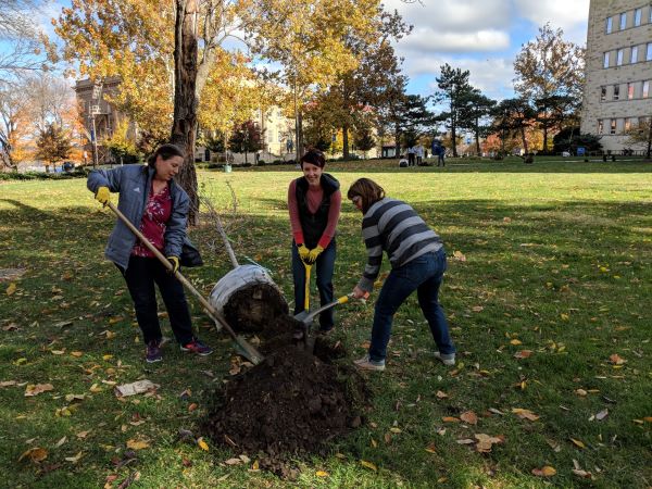 Three women digging a hole for a tree laying in the background.