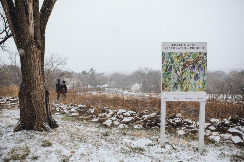 Looking south at Prairie Acre with snow on the ground and Prairie Acre Restoration Project" sign in the foreground.