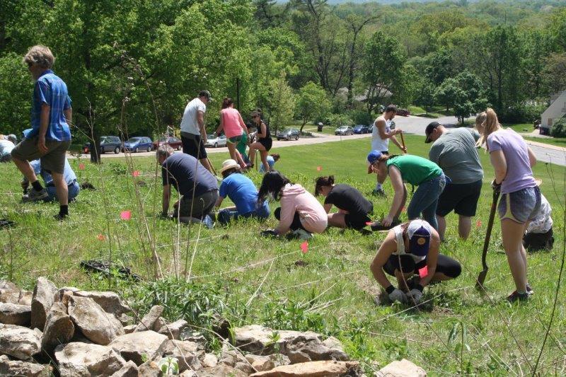 Large group of people working in Prairie Acre during the restoration project.